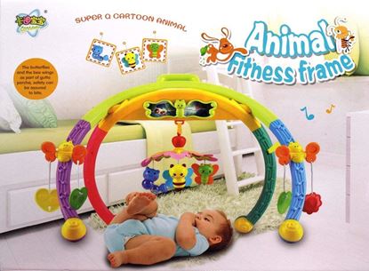 Picture of Baby Animal Fitness Frame Learning Ability Senses Activity Cognitive Ability