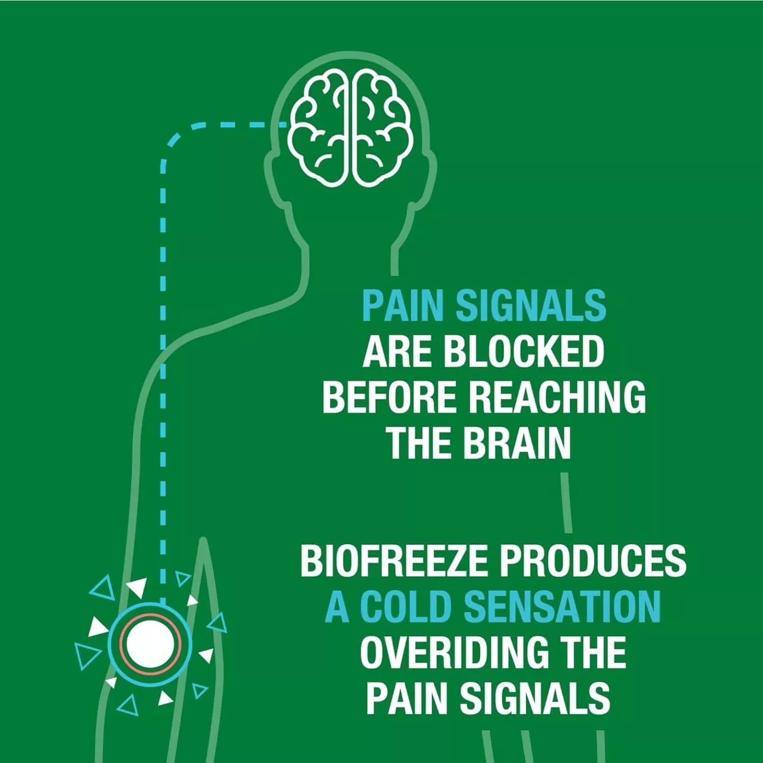 Biofreeze Spray 118ml