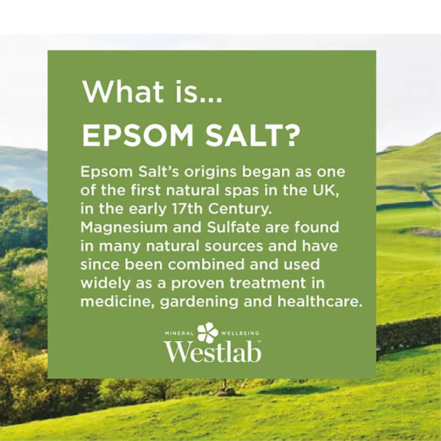 Westlab epsom salt 1kg 5