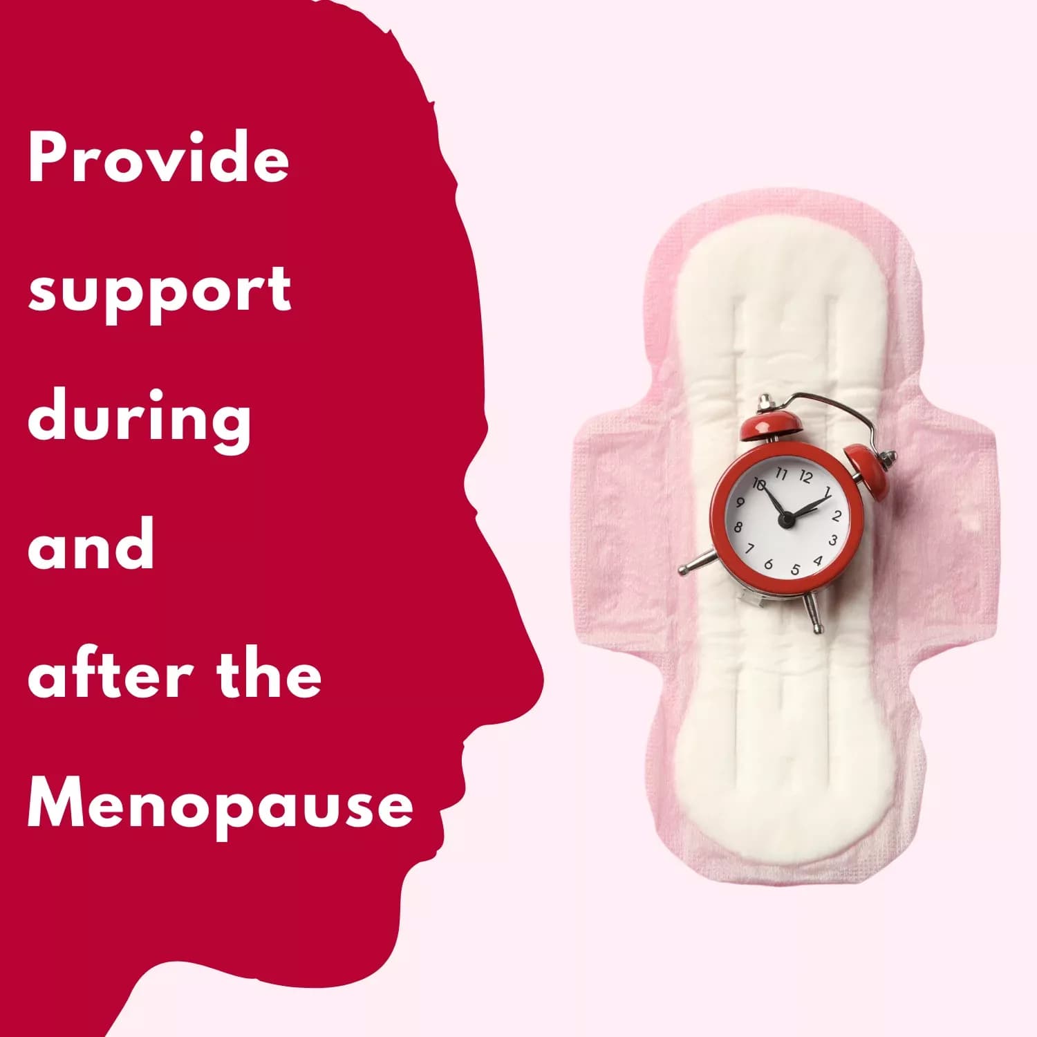 Vitabiotics Menopace Original 30 Tablets